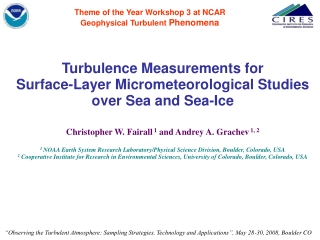 Theme of the Year Workshop 3 at NCAR Geophysical Turbulent  Phenomena