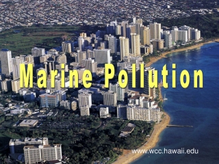 Marine Pollution