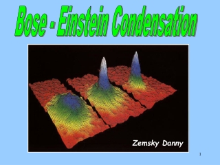 Bose - Einstein Condensation