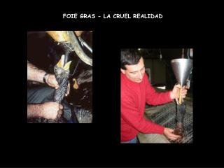 FOIE GRAS - LA CRUEL REALIDAD