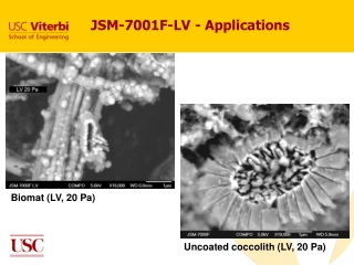 JSM-7001F-LV - Applications