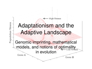 Adaptationism and the Adaptive Landscape