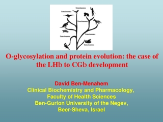 O-glycosylation and protein evolution: the case of the LH b  to CG b  development