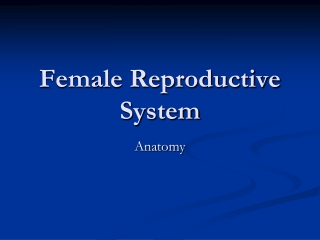 Female Reproductive System