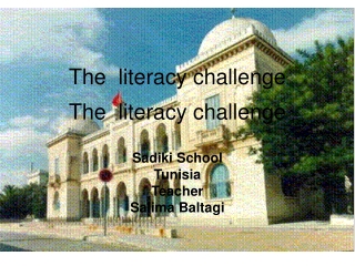 The  literacy challenge