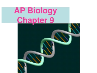 AP Biology  Chapter 9