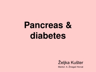 Pancreas  &amp; diabetes