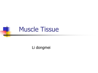 Muscle Tissue