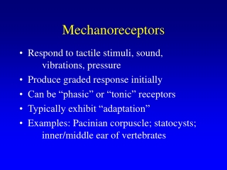 Mechanoreceptors