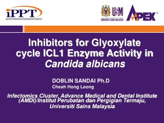 Inhibitors for  Glyoxylate  cycle ICL1 Enzyme Activity in Candida  albicans