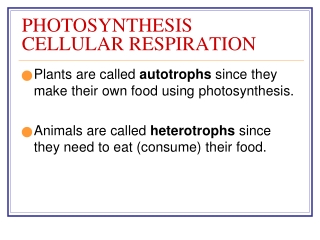 PHOTOSYNTHESIS CELLULAR RESPIRATION