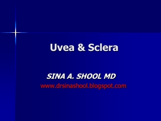 Uvea &amp; Sclera