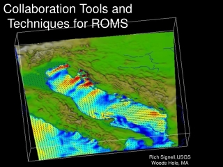 Collaboration Tools and Techniques for ROMS