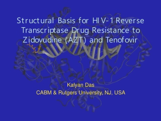 Structural Basis for HIV-1 Reverse Transcriptase Drug Resistance to Zidovudine (AZT) and Tenofovir