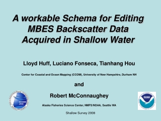 A workable Schema for Editing MBES Backscatter Data Acquired in Shallow Water