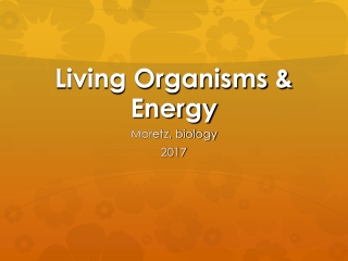 Living Organisms &amp; Energy