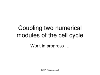 Coupling two numerical modules of the cell cycle
