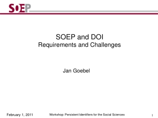 SOEP and DOI Requirements and Challenges