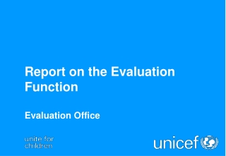 Report on the Evaluation Function