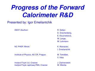 Progress of the Forward Calorimeter R&amp;D