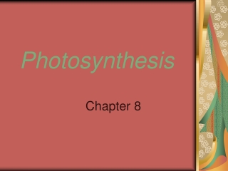 Photosynthesis