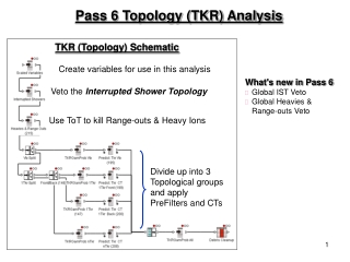 Pass 6 Topology (TKR) Analysis