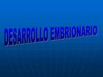 DESARROLLO EMBRIONARIO