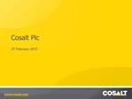 Cosalt Plc