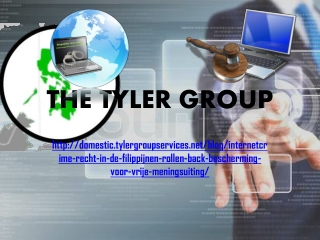 The Tyler Group, ‘Internetcrime’ recht in de Filippijnen rol