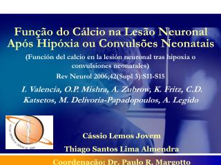 Função do Cálcio na Lesão Neuronal Após Hipóxia ou Convulsões Neonatais