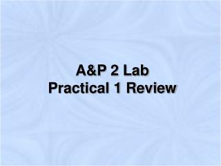 A&amp;P 2 Lab Practical 1 Review