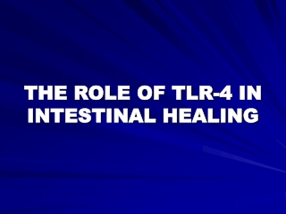 THE ROLE OF TLR-4 IN INTESTINAL HEALING