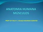 ANATOMIA HUMANA M SCULOS