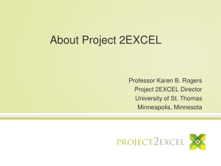 About Project 2EXCEL