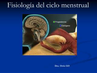 Fisiología del ciclo menstrual