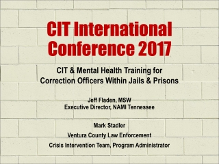 CIT International  Conference 2017