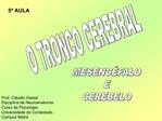 O TRONCO CEREBRAL