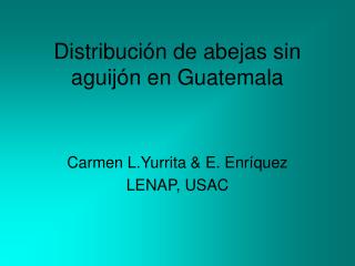 Distribución de abejas sin aguijón en Guatemala