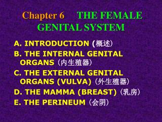 Chapter 6 THE FEMALE GENITAL SYSTEM
