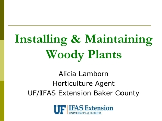 Installing & Maintaining Woody Plants