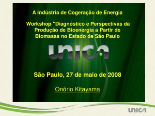 A Indústria de Cogeração de Energia Workshop &quot;Diagnóstico e Perspectivas da Produção de Bioenergia a Partir de Biom