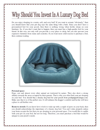 Why Should You Invest In A Luxury Dog Bed