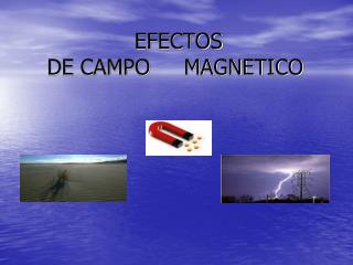 EFECTOS DE CAMPO MAGNETICO