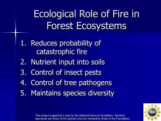 Ecological Role of Fire in Forest Ecosystems