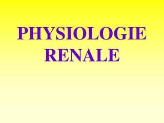 PHYSIOLOGIE RENALE