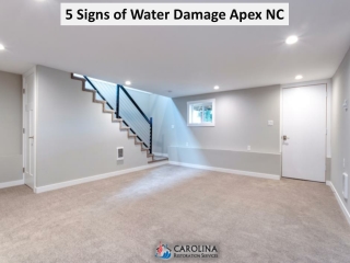 5 Signs of Water Damage Apex NC