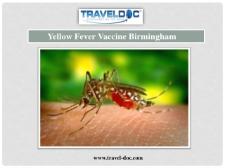 Yellow Fever Vaccine Birmingham