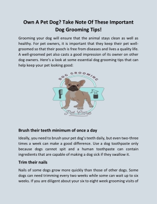 Own A Pet Dog? Take Note Of These Important Dog Grooming Tips!