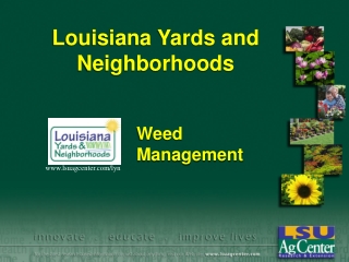 Louisiana Yards and Neighborhoods