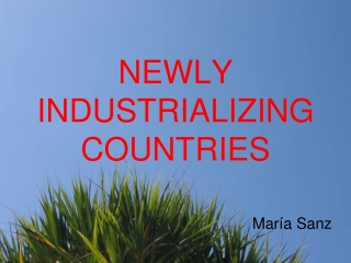 NEWLY INDUSTRIALIZING COUNTRIES